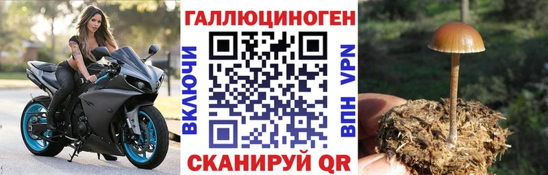 Псилоцибиновые грибы прущие грибы  ОМГ ОМГ ссылка  Златоуст 